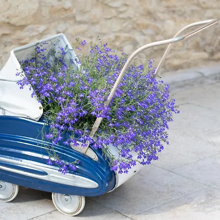 Le Moulin Du Porteil Campagne (Dordogne)