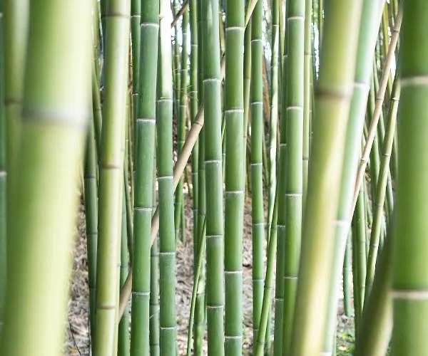 Le Moulin Du Porteil فندق مبيت وإفطار